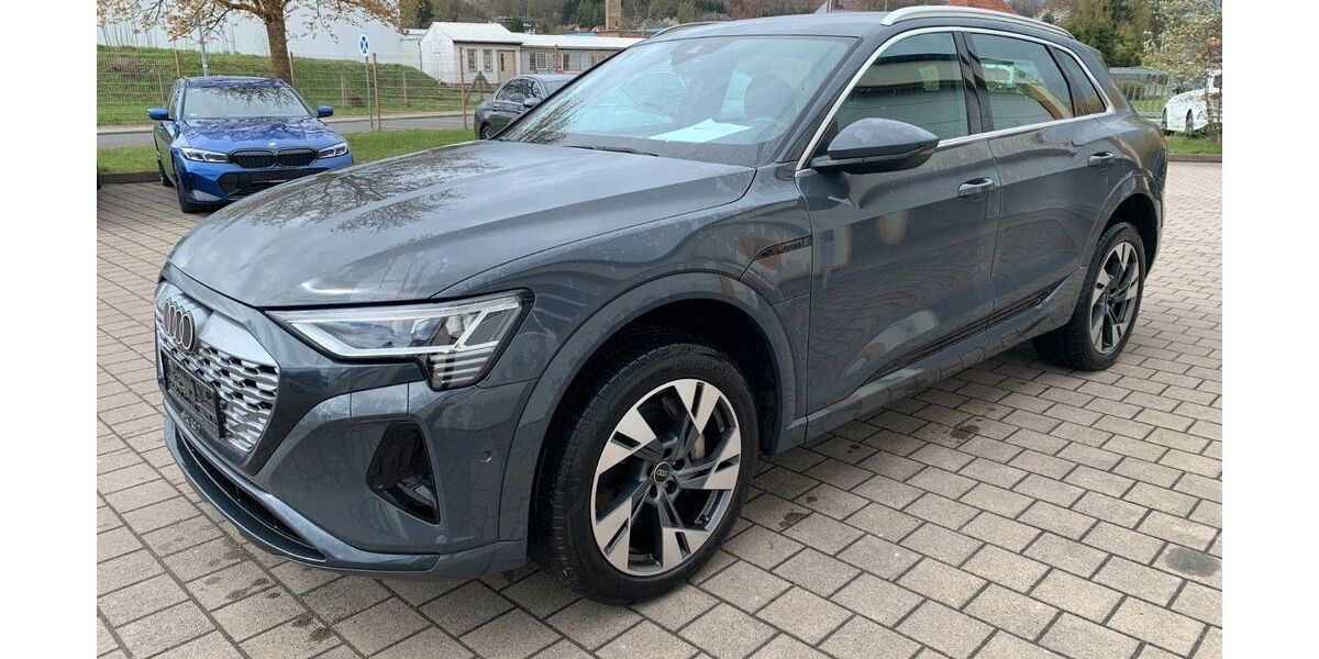 Audi Q8 e-tron 69.245 km 38.990 &euro; Steinbach-Hallenberg OT Herges-Hallenberg 98587