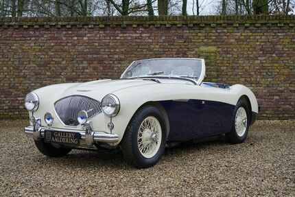 Austin Healey Andere