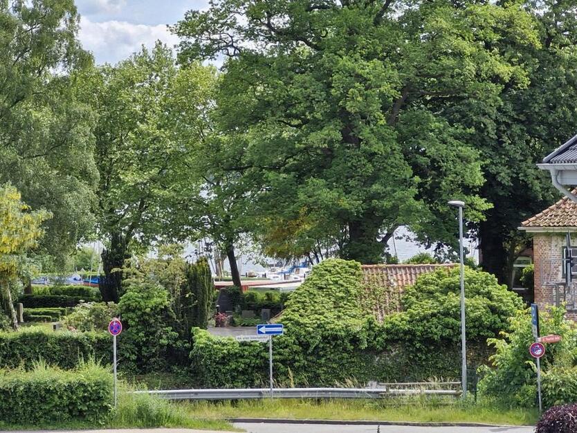 Seeblick in sonnendurchfluteter, großzügiger 5-Zimmer-Wohnung zimmer