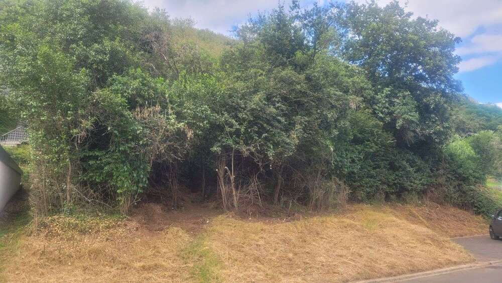 Grundstück Hahnenbach - 19.000&euro; | Angebot:16771553