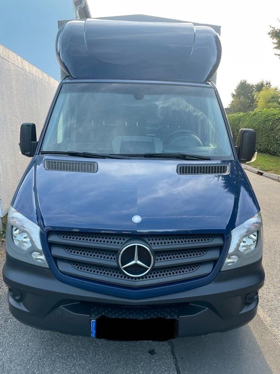 Sprinter