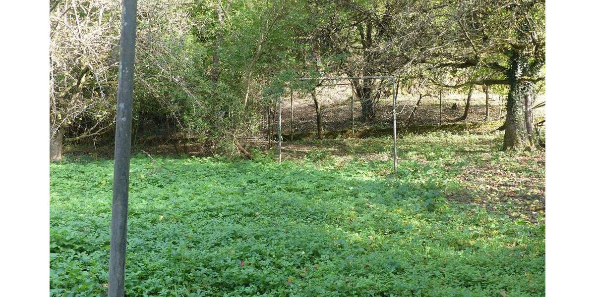 Einfamilienhaus Erbach Schönnen - 5 Zimmer, 110 m&sup2;, 195.000&euro; | Angebot:25768849