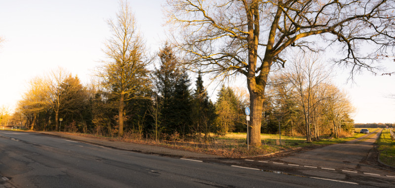 Grundstück Lintig Lintig - 190.000&euro; | Angebot:25676065