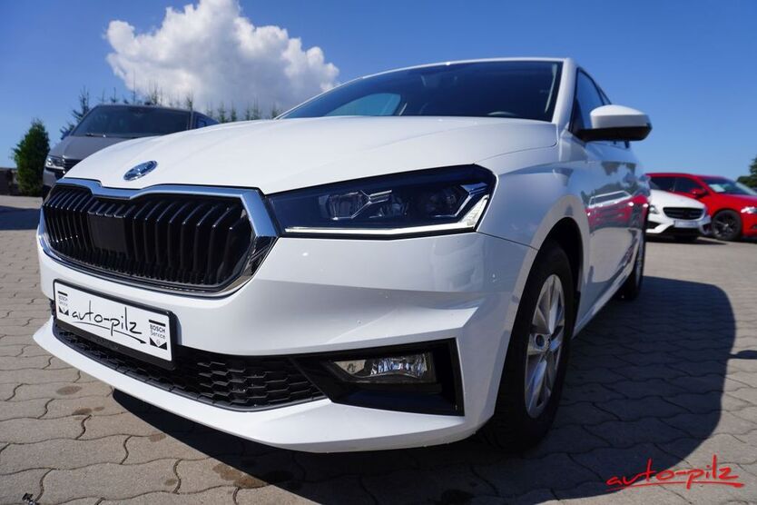 Skoda Fabia 18.690 km 19.980 € Thermalbad Wiesenbad OT Schönfeld 09488