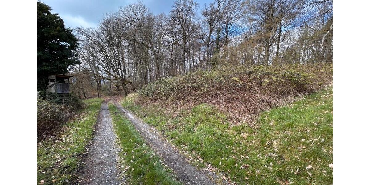 Grundstück Winnenden - 2.500&euro; | Angebot:26425207
