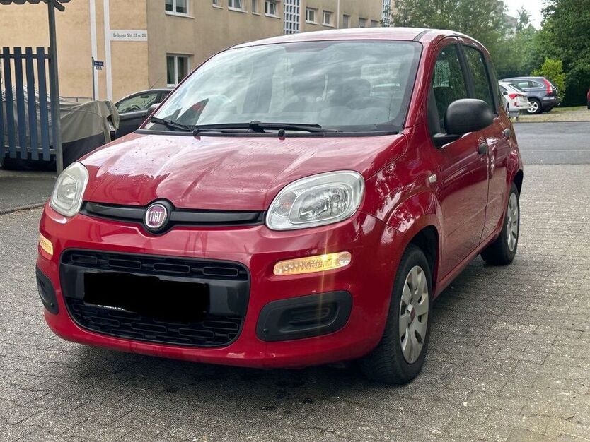Panda