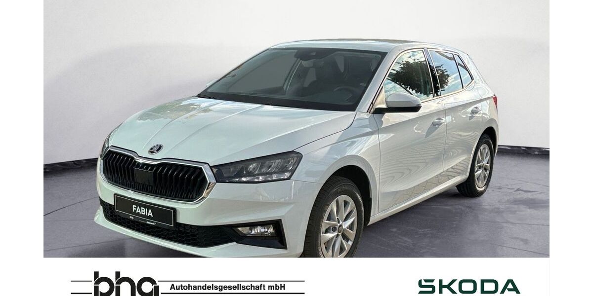 Skoda Fabia 1.009 km 19.980 &euro; Balingen 72336