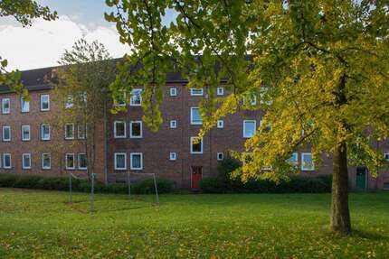 Wohnung zum Mieten in Kiel 519 € 52 m² 2 zimmer