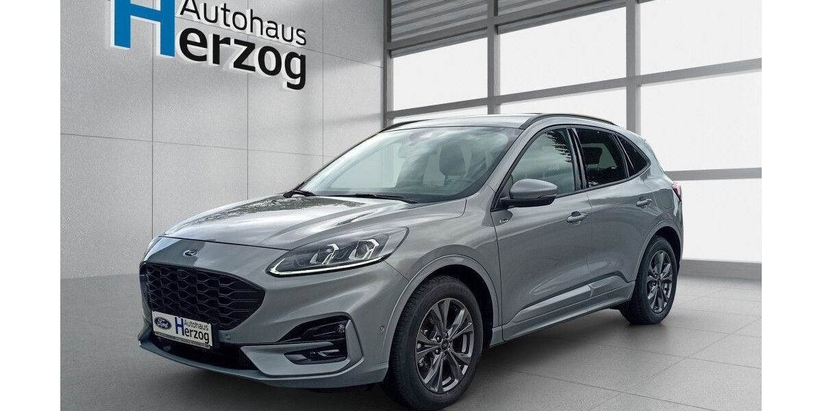 Ford Kuga 8.900 km 24.990 &euro; Schramberg 78713