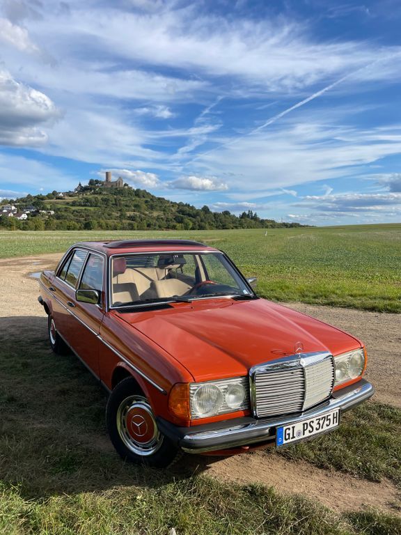 230