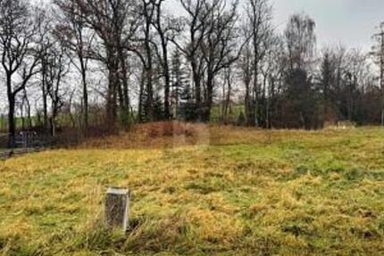 STEHT HIER IHR KÜNFTIGES DOMIZIL IM GRÜNEN? - Grundstück Frontenhausen | Angebot:24791558