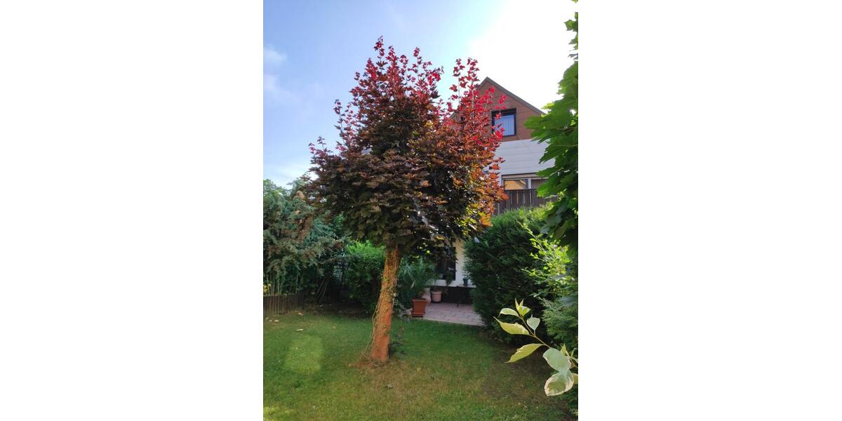 Mehrfamilienhaus, Wohnhaus Schwarzenbach am Wald - 95.000&euro; | Angebot:27195579
