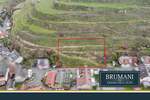 Grundstück Vogtsburg Oberbergen - 347.000&euro; | Angebot:25667966