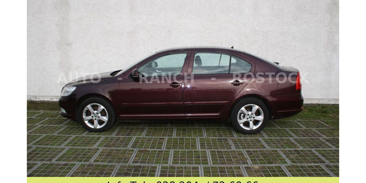 Skoda Octavia 270.000 km 4.250 &euro; Broderstorf OT Pastow 18184