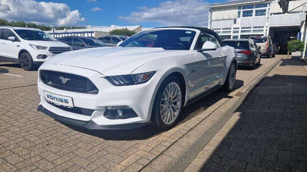 Mustang