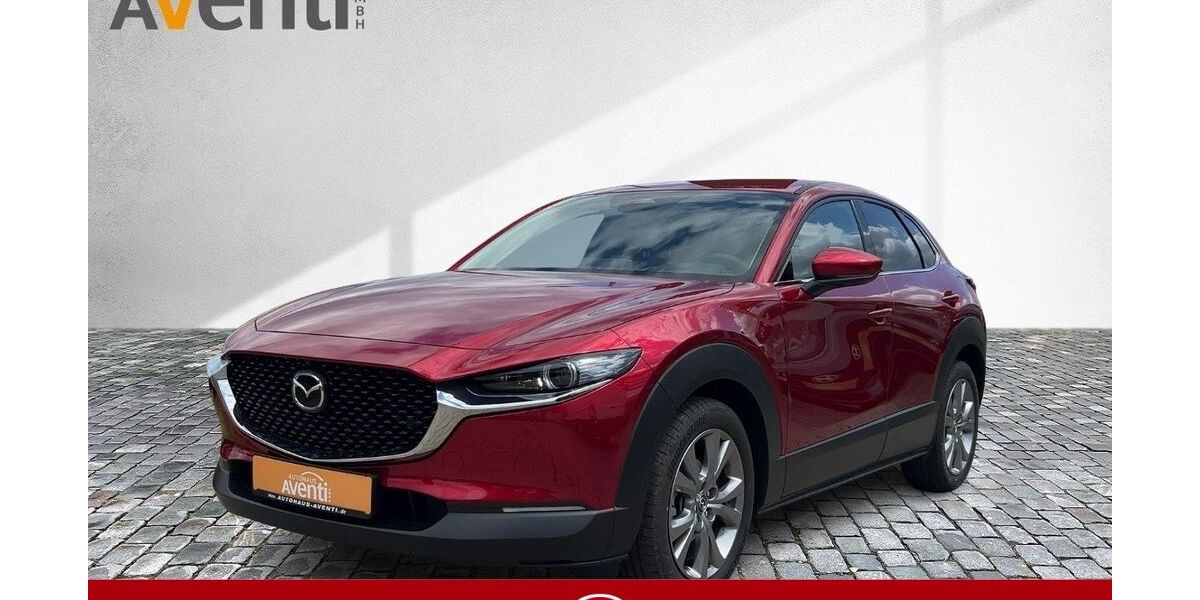 Mazda CX-30 1.500 km 31.479 &euro; Bamberg 96052
