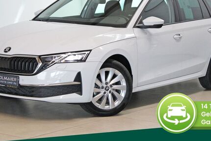 Skoda Octavia 22.065 km 29.900 &euro; Eching i. Ndb. 84174
