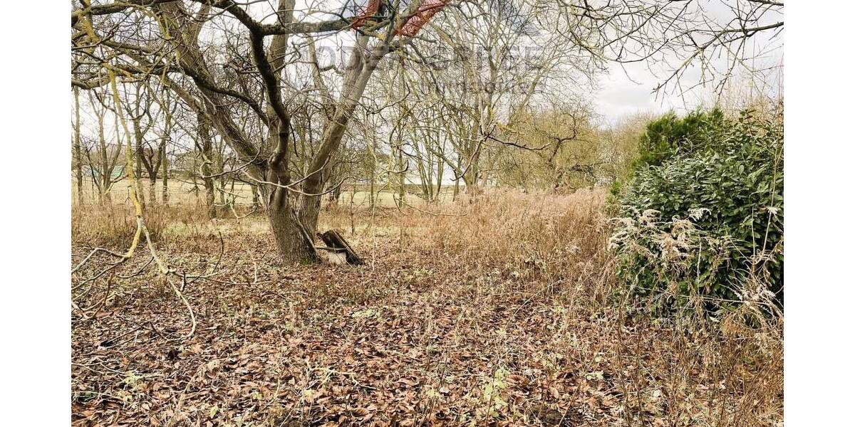 Einfamilienhaus Steinhöfel Heinersdorf - 8 Zimmer, 178 m&sup2;, 215.000&euro; | Angebot:19533596