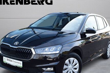Skoda Fabia 1.200 km 19.980 &euro; Verden 27283