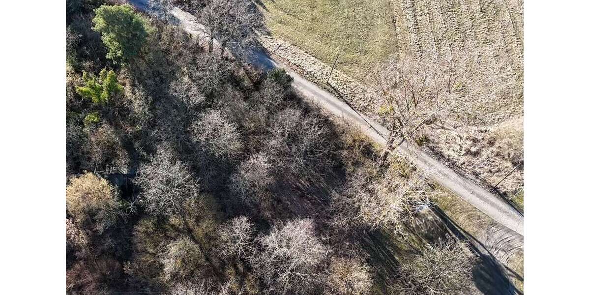 Grundstück Gräfenhainichen Zschornewitz - 40.000&euro; | Angebot:25626607