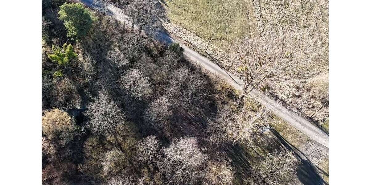 Grundstück Gräfenhainichen Zschornewitz - 50.000&euro; | Angebot:25626607