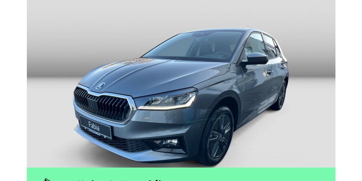 Skoda Fabia 1.111 km 23.890 &euro; Weinstadt-Endersbach 71384