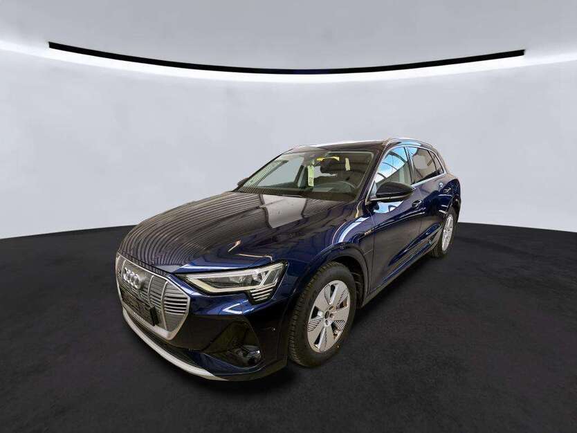 Audi e-tron 74.175 km 33.890 € Hagen 58091
