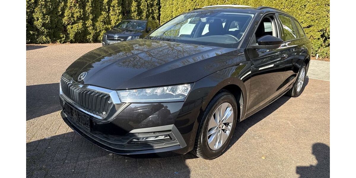 Skoda Octavia 43.990 km 22.800 &euro; Potsdam 14482