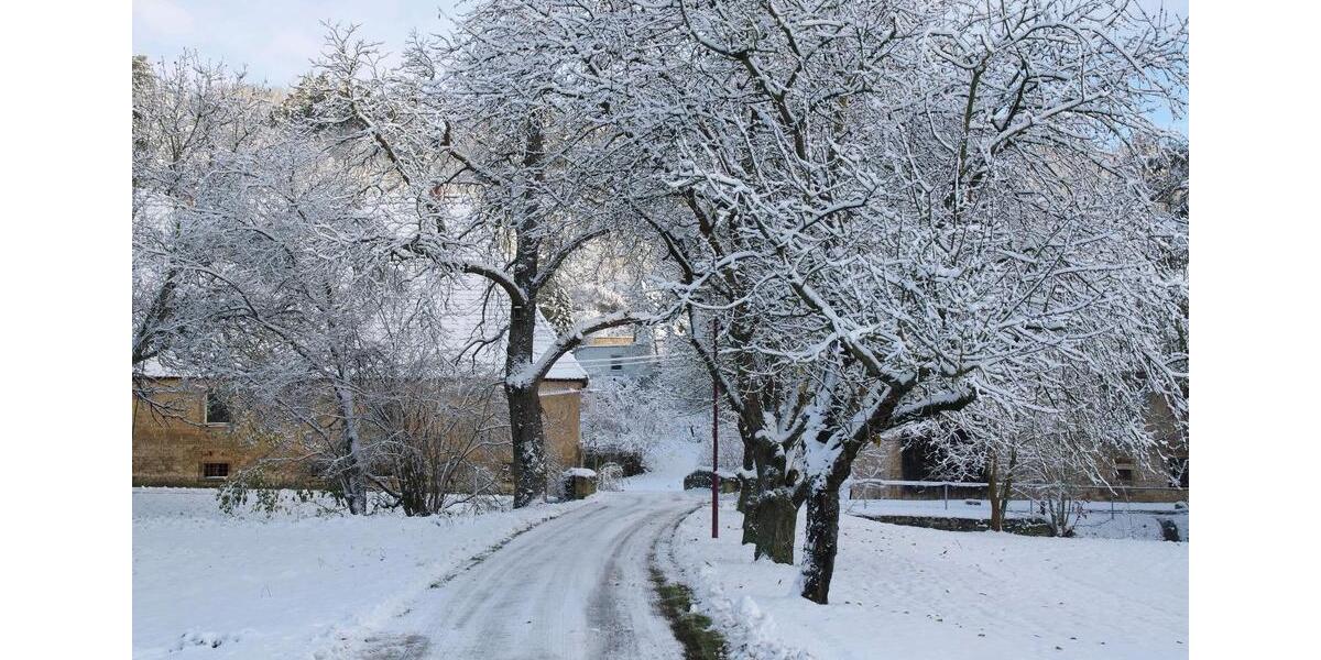 Mehrfamilienhaus, Wohnhaus Bad Bibra - 4 Zimmer, 90 m&sup2;, 500&euro; | Angebot:25791423