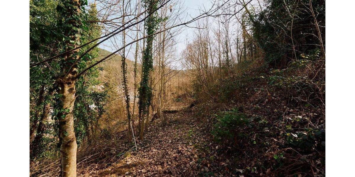 Mehrfamilienhaus, Wohnhaus Schramberg - 1 Zimmer, 333 m&sup2;, 248.500&euro; | Angebot:26188399