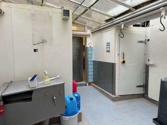 Gewerbeobjekt Riesa Innenstadt - 58.000&euro; | Angebot:25688434