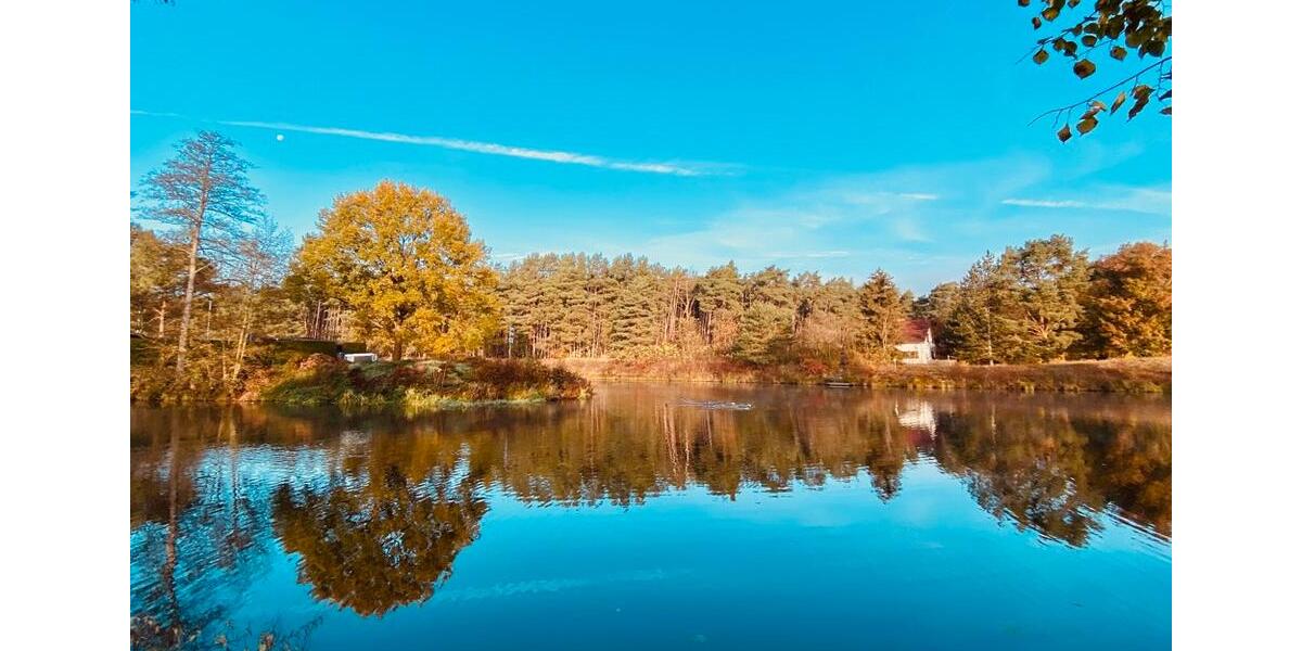 Bungalow Spreenhagen - 2 Zimmer, 40 m&sup2;, 1.150&euro; | Angebot:25642045