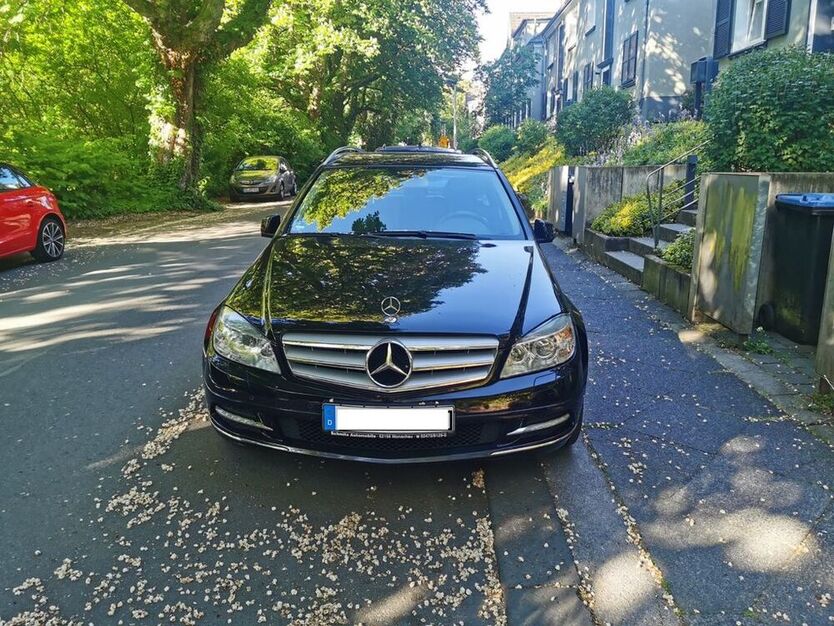 C 250