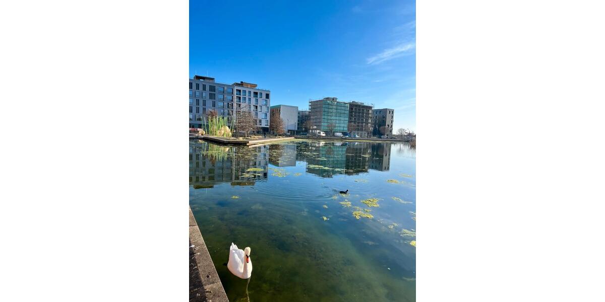 Etagenwohnung Heilbronn Kernstadt - 2 Zimmer, 60 m&sup2;, 1.200&euro; | Angebot:26034150