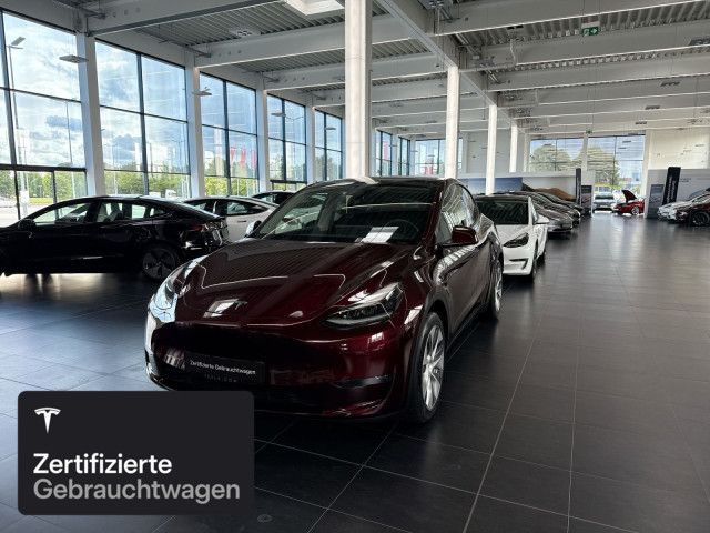 Model Y
