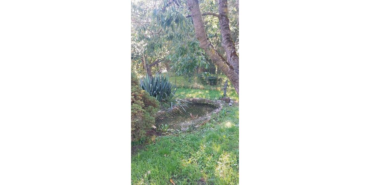 Doppelhaushälfte Strasburg (Uckermark) - 3 Zimmer, 64 m&sup2;, 133.000&euro; | Angebot:25221691