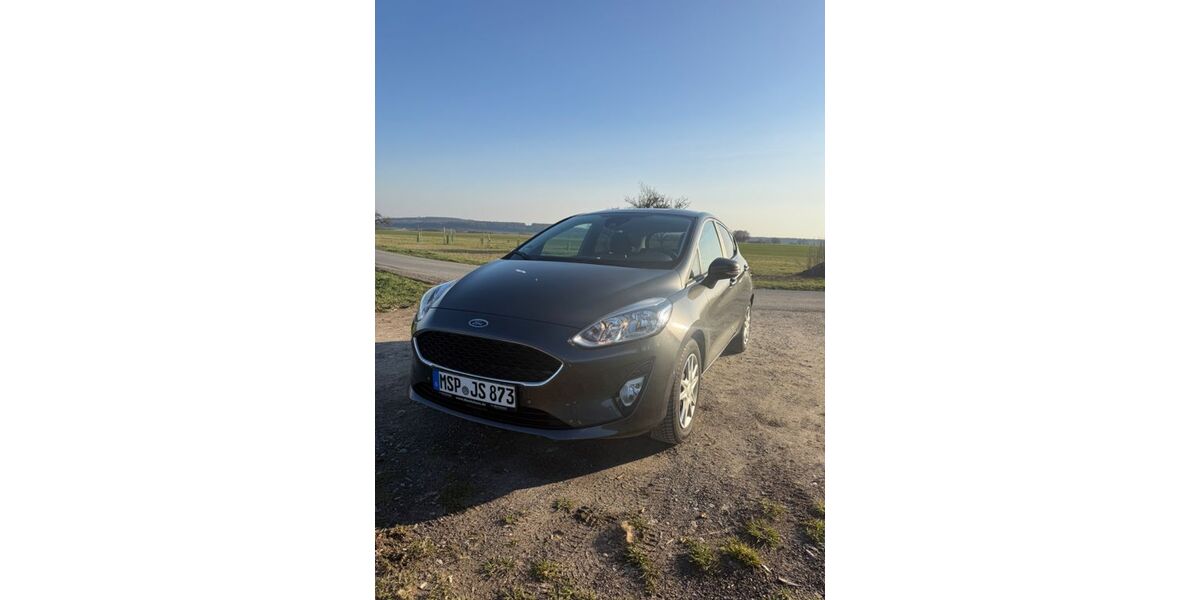 Ford Fiesta 92.100 km 7.500 &euro; Köppern 61381