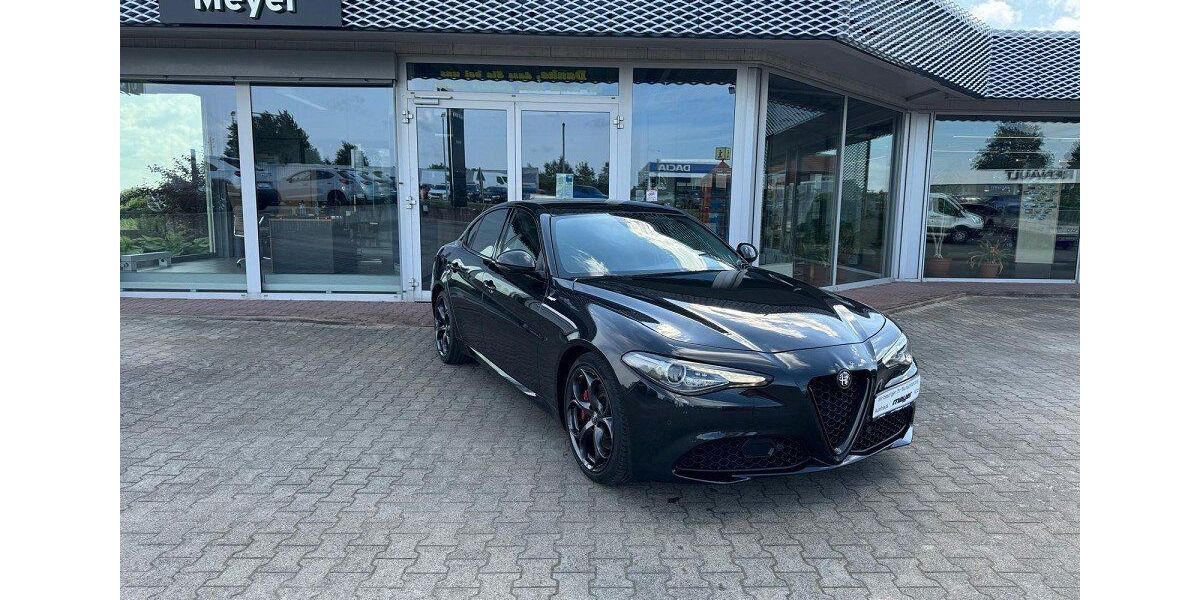 Alfa Romeo Giulia 99.501 km 25.990 &euro; Klötze 38486
