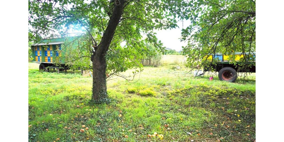 Bauernhaus, Landhaus Milower Land - 6 Zimmer, 150 m&sup2;, 409.000&euro; | Angebot:26038347