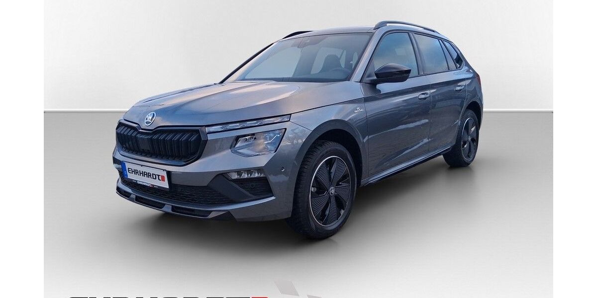 Skoda Kamiq 24.440 km 28.980 &euro; Ilmenau 98693