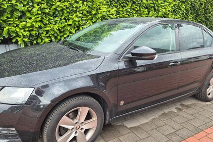 Skoda Octavia 160.000 km 10.000 &euro; Haltern am See 45721