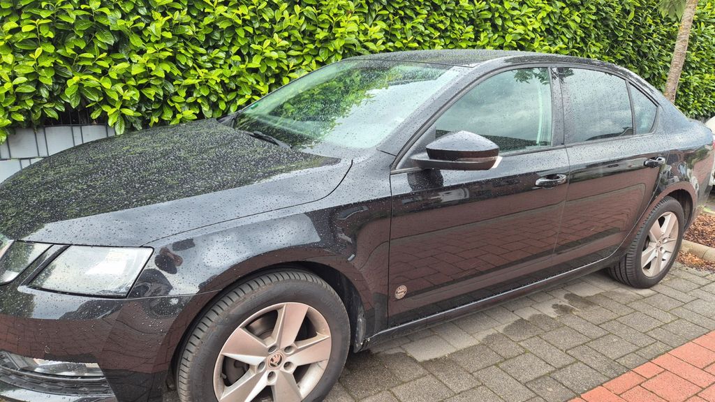 Skoda Octavia 160.000 km 10.000 &euro; Haltern am See 45721