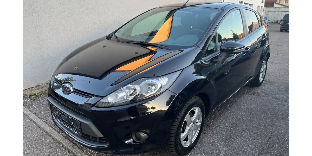 Ford Fiesta 220.050 km 2.899 € Eislingen 73054