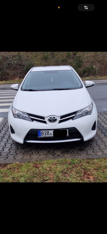 Auris