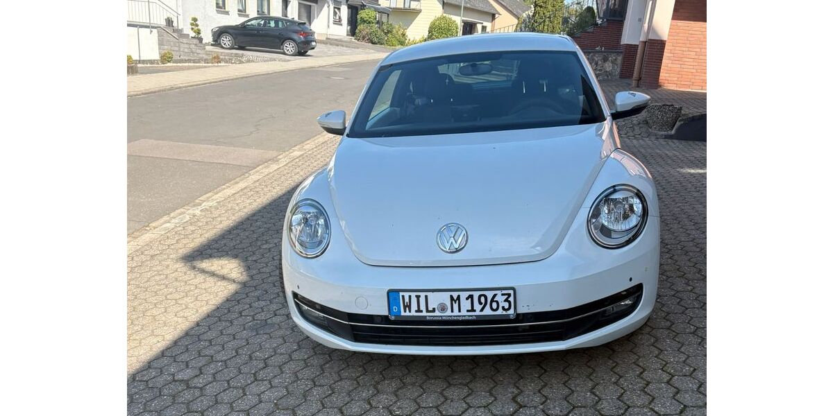 VW Beetle 126.000 km 7.950 &euro; Salmtal 54528