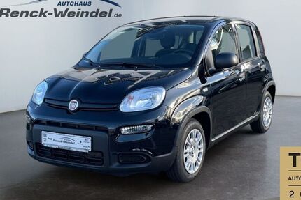 Fiat New Panda