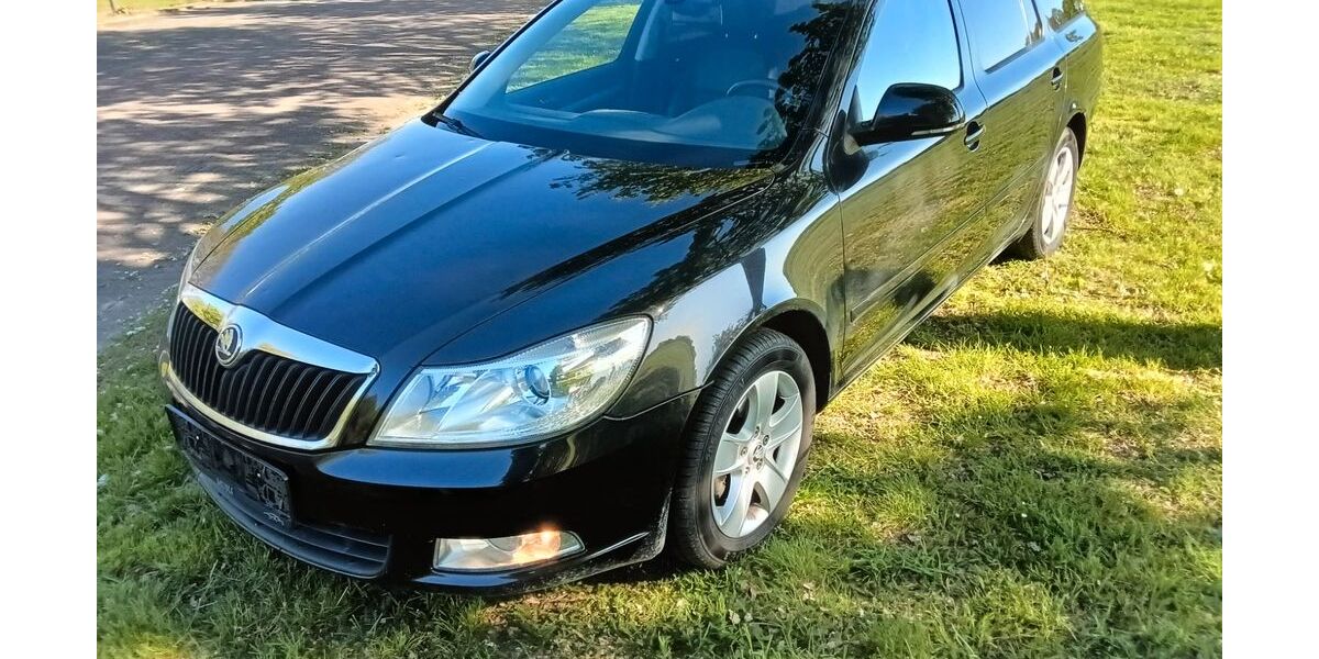 Skoda Octavia 179.988 km 3.999 &euro; Loxstedt-Nesse 27612