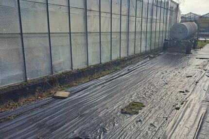 Grundstück Köln Kalk - 500&euro; | Angebot:24773593