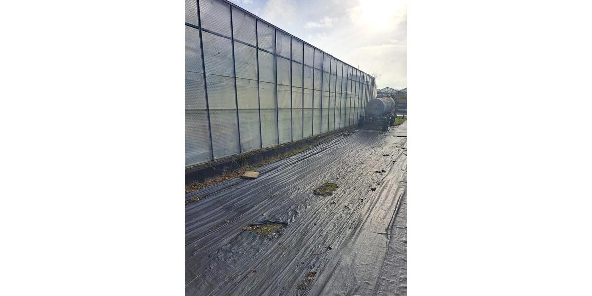 Grundstück Köln Kalk - 500&euro; | Angebot:24773593