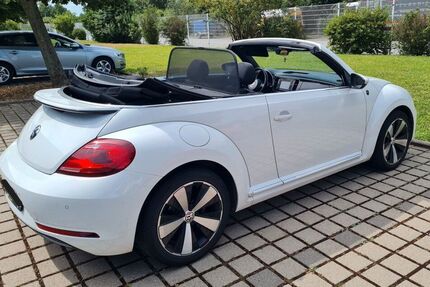 VW Beetle